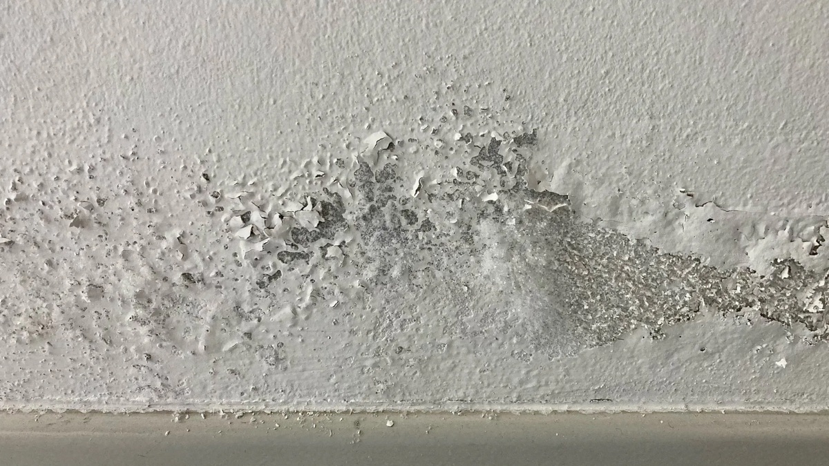 Mur deteriore par les remontees capillaires — peinture ecaillee et humidite