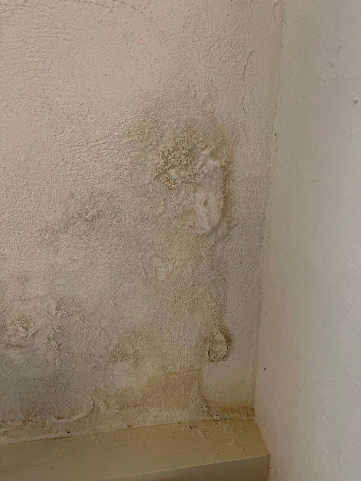 Depots de salpetre sur un mur interieur — signe de remontees capillaires